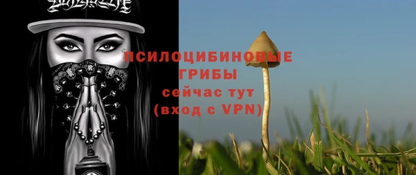 скорость Няндома